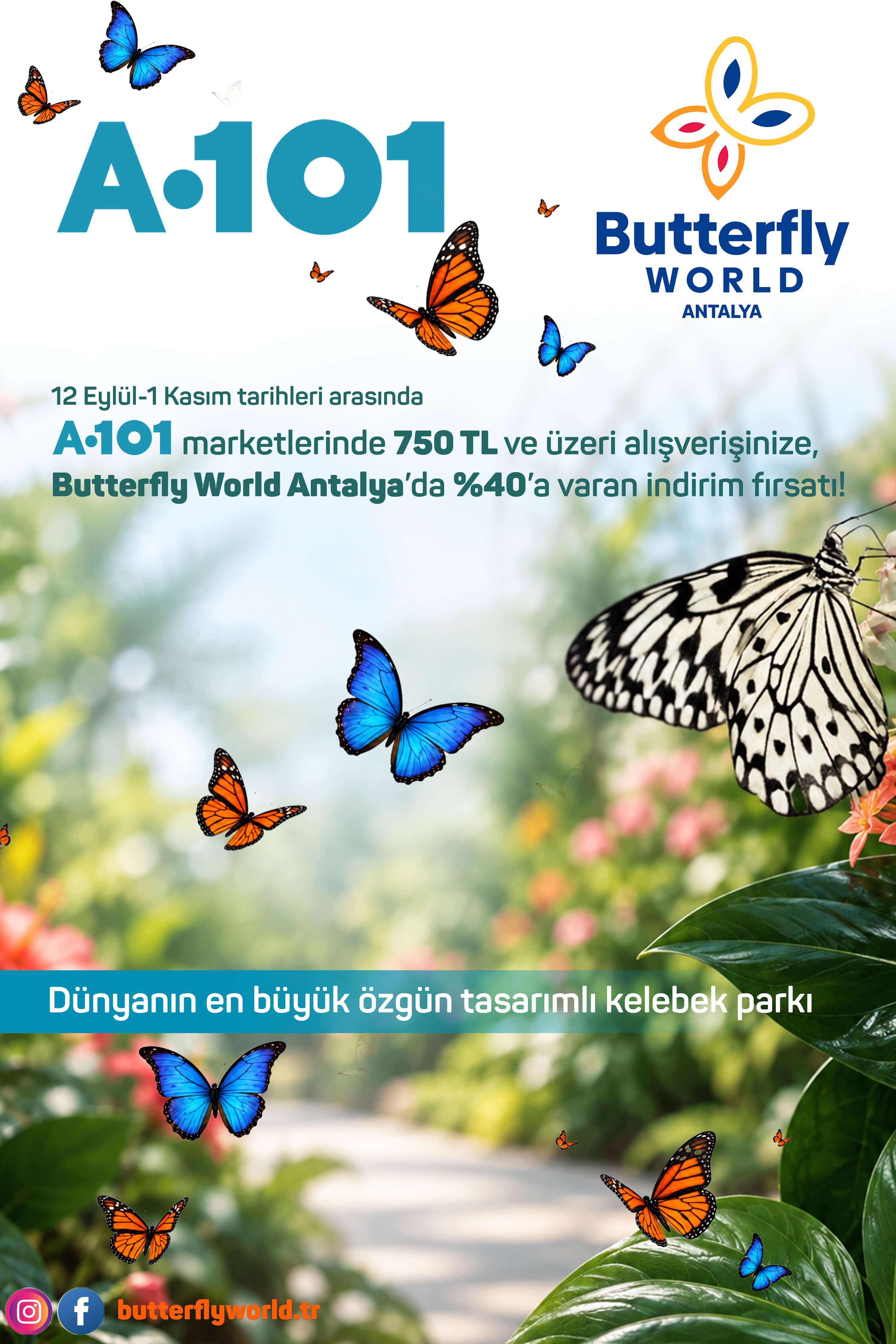 A101 ve Butterfly World kampanyası