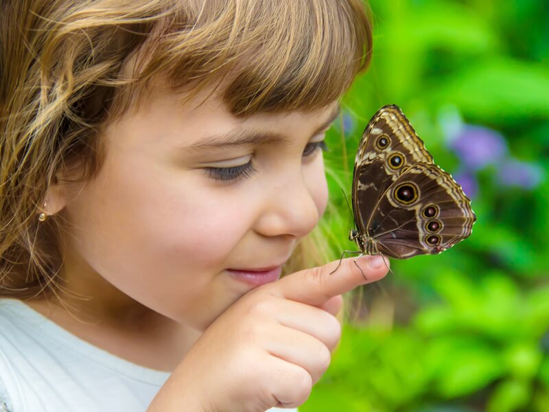Kelebeklerle Etkileşim