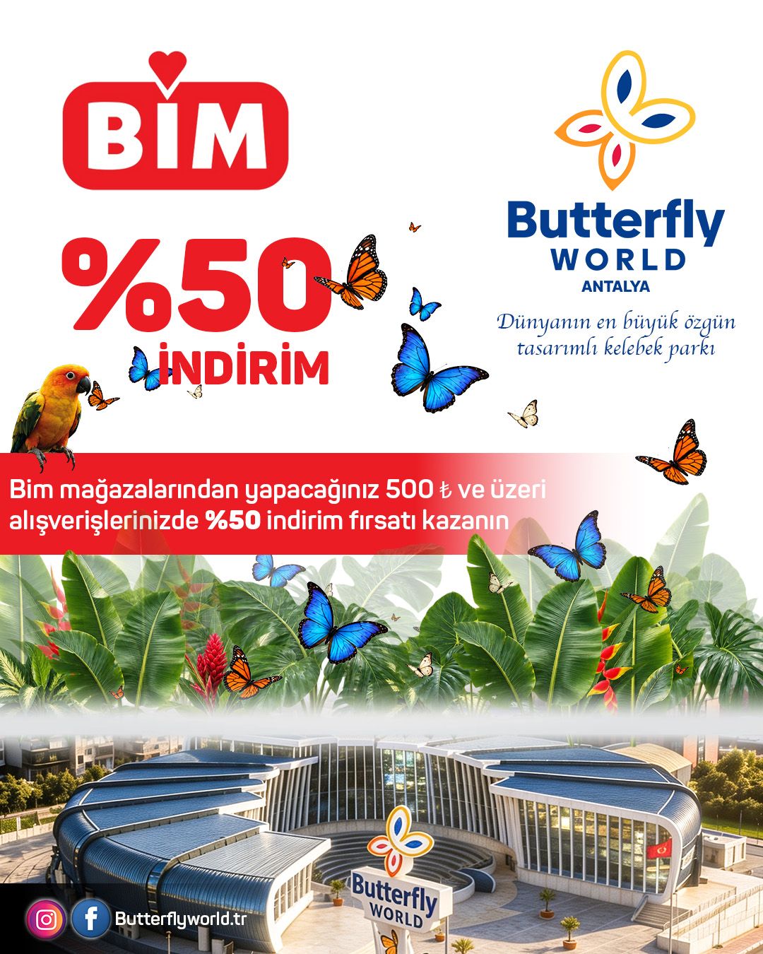 BİM ve Butterfly World kampanyası